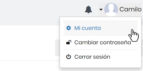 Mi cuenta